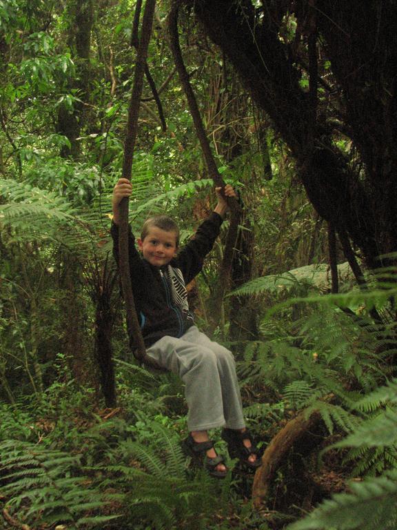 Catlins Newhaven Holiday Park Owaka Phòng bức ảnh