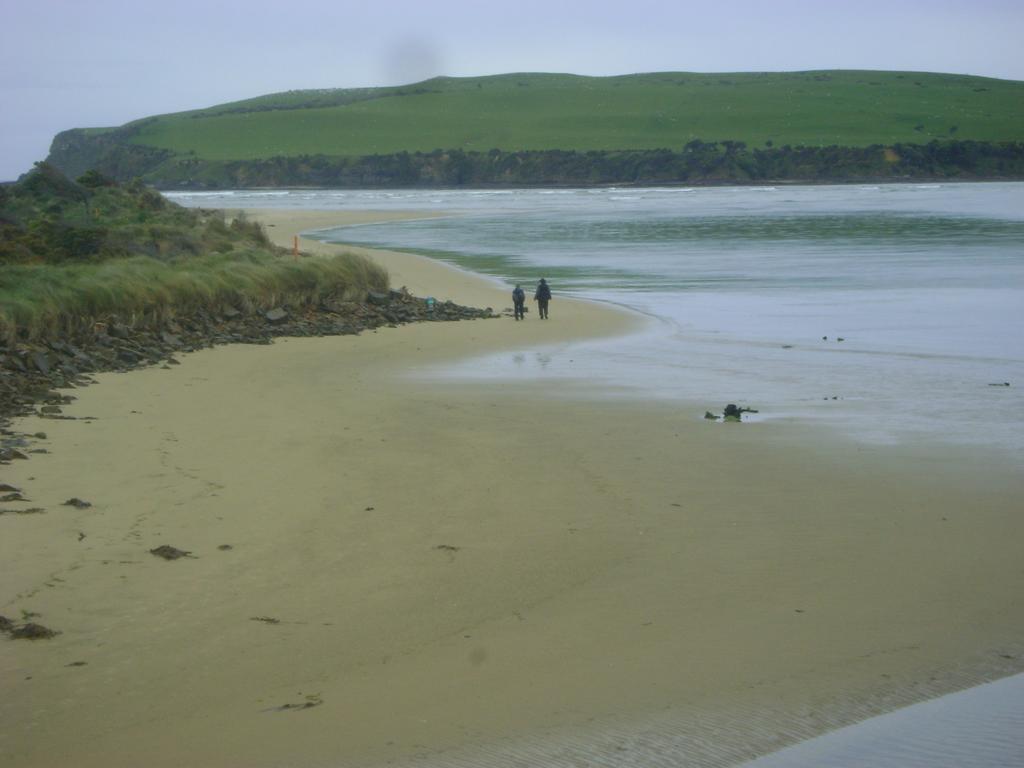 Catlins Newhaven Holiday Park Owaka Ngoại thất bức ảnh