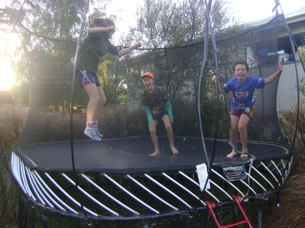 Catlins Newhaven Holiday Park Owaka Ngoại thất bức ảnh