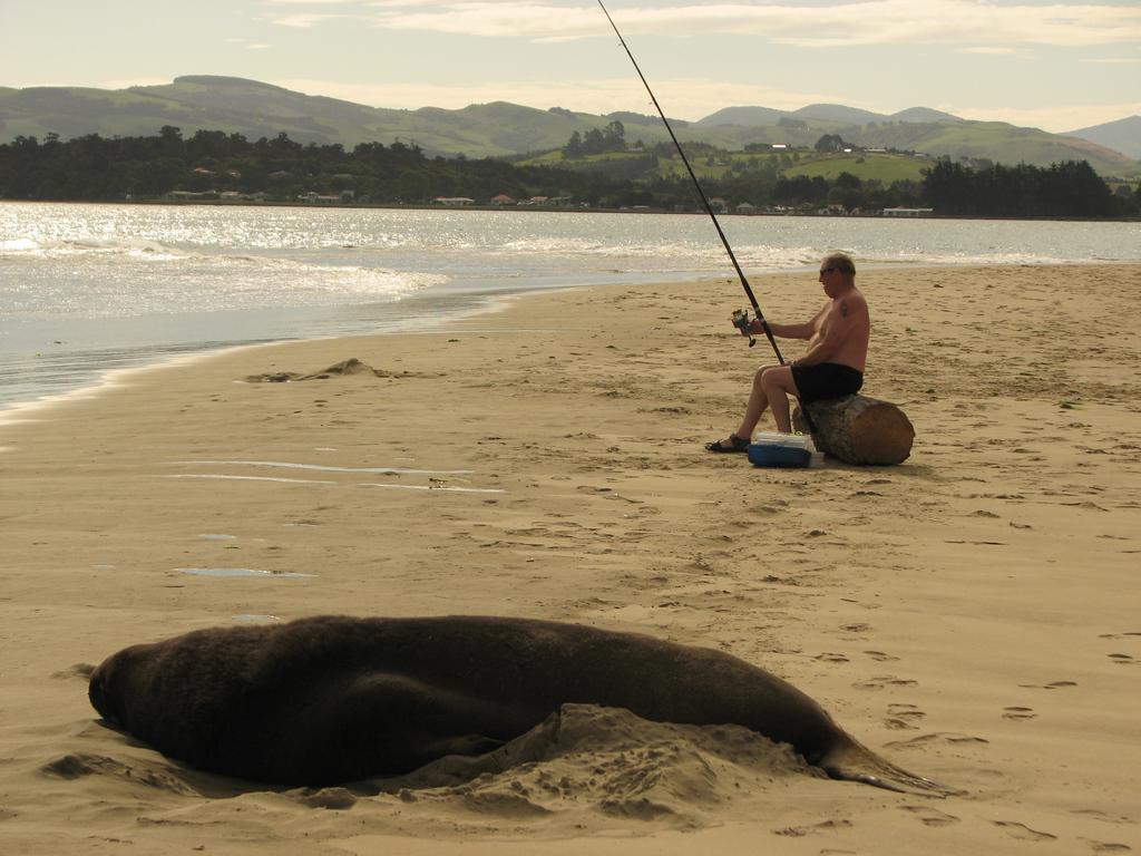 Catlins Newhaven Holiday Park Owaka Ngoại thất bức ảnh