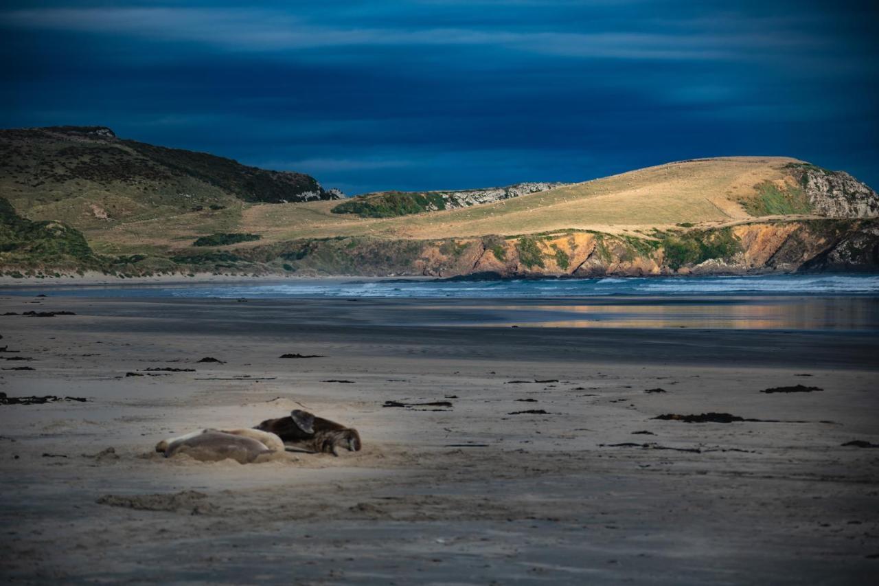 Catlins Newhaven Holiday Park Owaka Ngoại thất bức ảnh